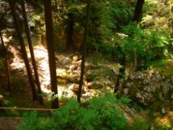 2013-07-20_Regina-F-Rau_Kochel-Rabenkopf (168).JPG